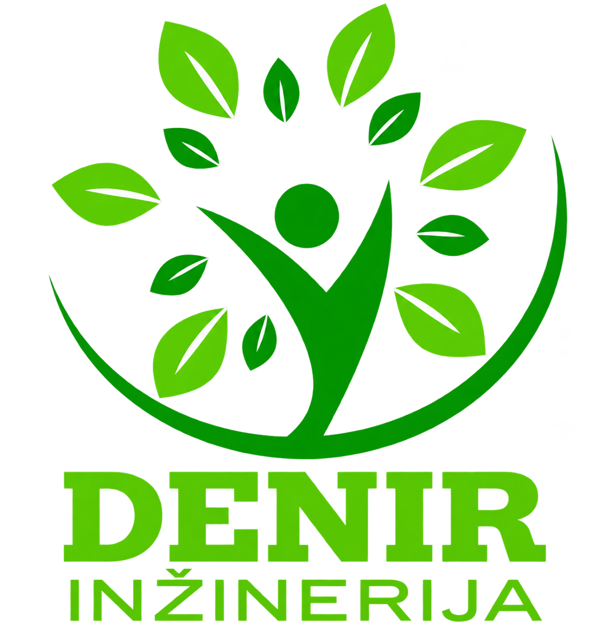 Denir Inžinerija